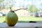 Fresh green coconut, sweet, fragrant and delicious, blurred background