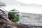 Fresh green coconut is a symbol of Halloween. With a carved face on a pumpkin. Lies on the grass on a wide sandy beach. Green and