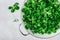 Fresh green Corn salad leaves or lamb`s lettuce in colander