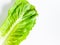 Fresh green cos lettuce leaf isolate on white