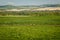 Fresh green countryside of Southern Alberta, province of Canada