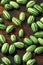 Fresh green Cucamelon on rustic wooden table