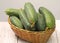 Fresh green cucumbers with pimples are in the basket.
