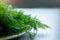 Fresh green dill branches, selective focus, close-up. Dill branches prepared for salad or freezing. Benefits of fresh greens for