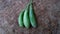 fresh green eggplant