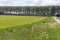 The fresh green field with crops in the spring sunshine