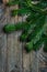 Fresh green fluffy bushy fir tree branches on old plank wood background. Christmas New Year greeting card poster