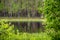 fresh green forest around country lake with reflections of tree trunks