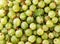 Fresh green gooseberries closeup, background. The view from top