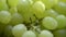 Fresh green Grapes