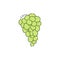 Fresh green grapes in vine simple drawing