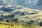 Fresh green grass in a high mountain pasture in Seiser Alm, Italy.