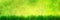 Fresh green grass panorama on natural blur nature background