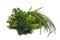 Fresh green grass parsley dill onion herbs mix
