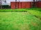 Fresh green grass smooth lawn as a carpet and curve form of bush, orange brick wall and trees on background, good care maintenance