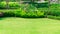 Fresh green grass smooth lawn as a carpet with curve form of bush, trees on the background, good maintenance landscapes in garden