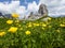 Fresh green grass and yellow flowers landscape photo with rock formation Cinque Torri, Cinque Torri di Averau peaks 2361m in