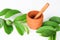 Fresh green guava leaves and fruit are isolated from a white background, views of wood mortar and isolated pestle. Traditional Po