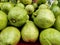 Fresh green guavas are ready for sale as a source of vitamin C