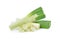 Fresh green Japanese Bunching Onion on white background