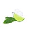 Fresh green juicy limes, lime slices, ice and mint leaves isolated on white background.