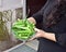 Fresh green lady finger or okra vegetable in bowl, Human hands holding the bowl