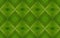 Fresh green leaf details pattern