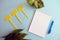 Fresh Green Leaves, Empty Notebook, Yellow Labels and a Blue Pen isolated on a Blue Light Background