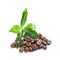 Fresh green leaves and pile of coffee beans isolated