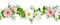 Fresh green leaves of Siberian peashrub in seamless waved pattern