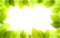 Fresh green leaves summer or spring blurred defocused, realistic bright vector illustration with copy space