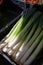 Fresh green leek onion on farmers market with seasonal local vegetables and fruits in small Portuguese village near Sintra