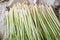 Fresh green lemongrass plant in market