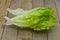 Fresh green lettuce leaves, ideal for diet.