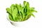 Fresh green lettuces in white bowl