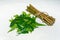 Fresh green neem leaves and neem twigs on white background