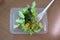 Fresh green oak leaf lettuce salad