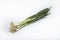 Fresh green onions bonded together lying on white background