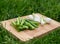 Fresh green onions on the old wooden cutting board, closeup food, outdoors shot.