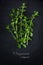 Fresh green oregano from above on a dark slate plate, sample tex