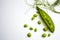 Fresh green pea pods with foliage on a white background. One pod is open, peas are visible.