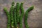 Fresh green peppers, (Piper nigrum),unripe,on a wooden floor,leaved,natural,tropical,herbal,and edible,taken close up