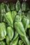 Fresh green peppers. Vegetables pattern, full frame