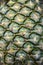Fresh green pineapple shell texture