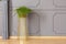 Fresh green potted plant placed on metal gold stand in grey room