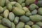 Fresh green raw mangoes heap. View from above. Popular fruit in Pakistan.
