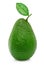 Fresh green ripe avocado