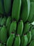 fresh green robusta banana, close-up view