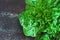 Fresh green romaine lettuce. Beautiful green bunch of lettuce on a loft style background