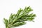 Fresh green rosemary leaves, twigs and branches on white background.